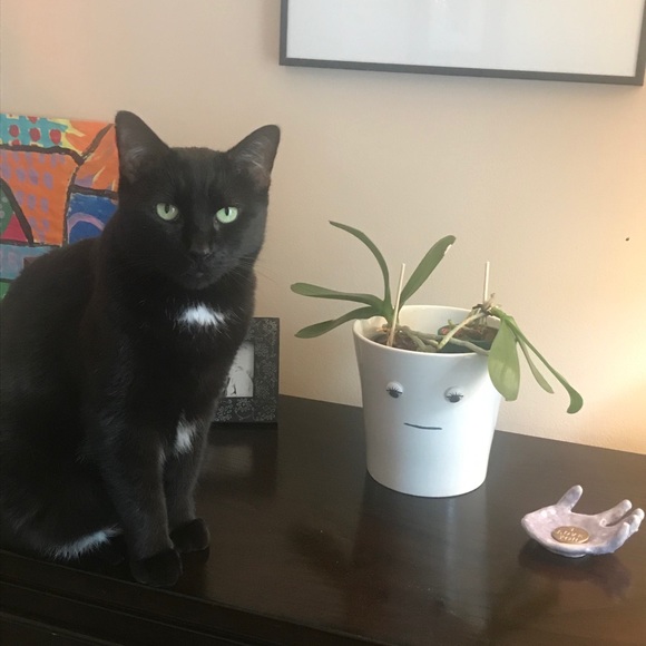 Meet your Posher, Lee anne - Picture 3 of 5